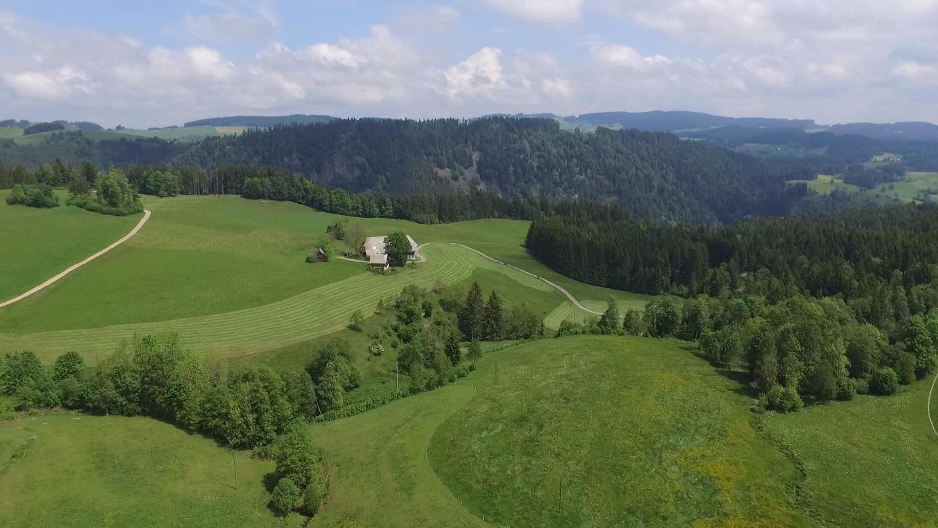 Ferienhaus Esche Hinterzarten Eksteriør bilde