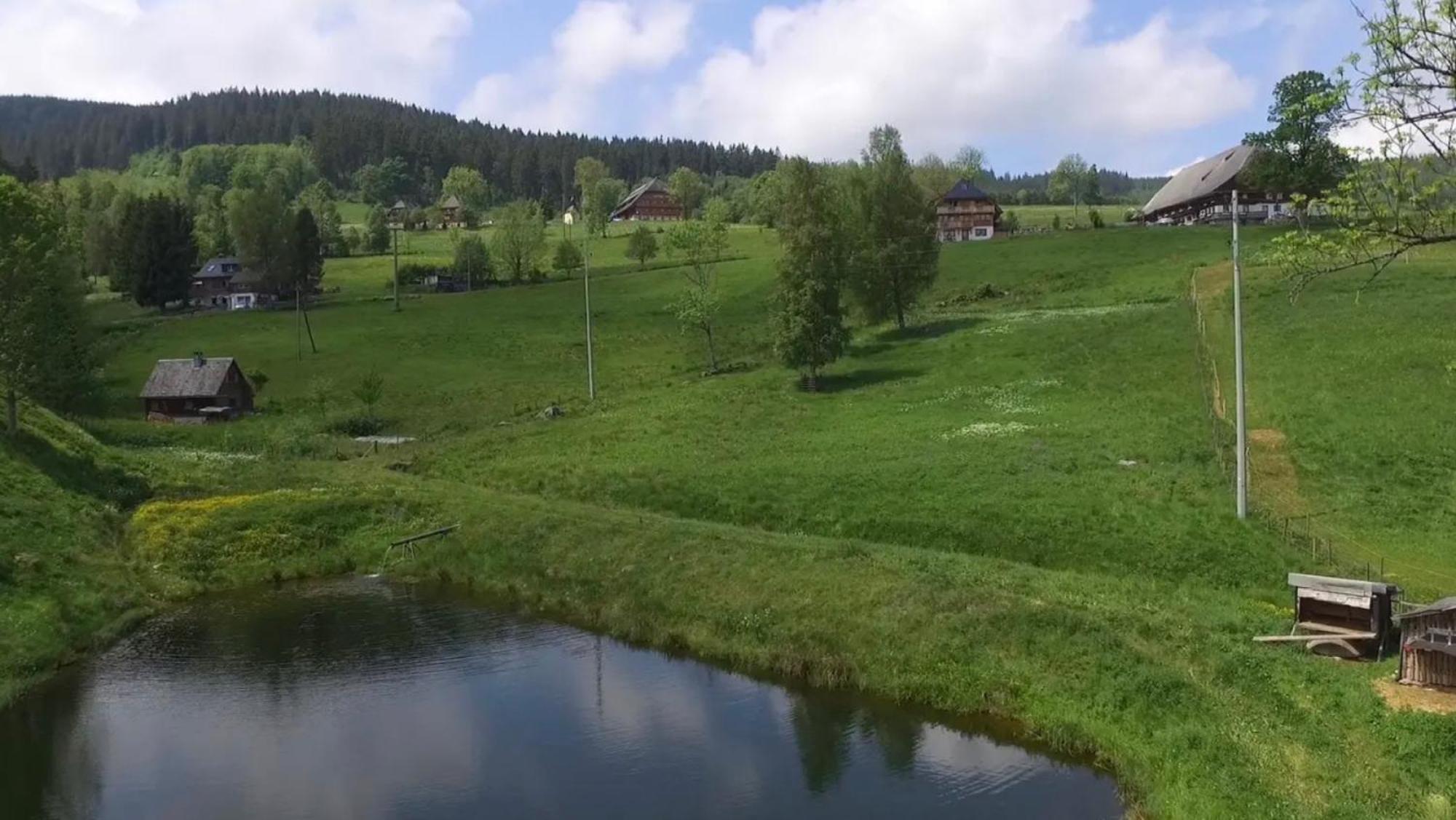 Ferienhaus Esche Hinterzarten Eksteriør bilde