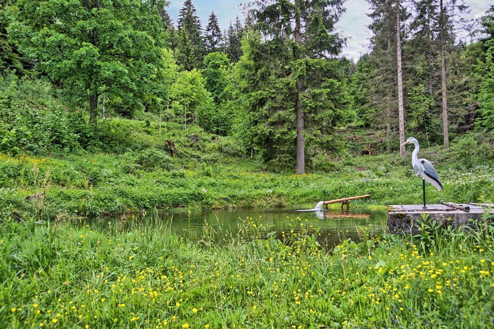 Ferienhaus Esche Hinterzarten Eksteriør bilde