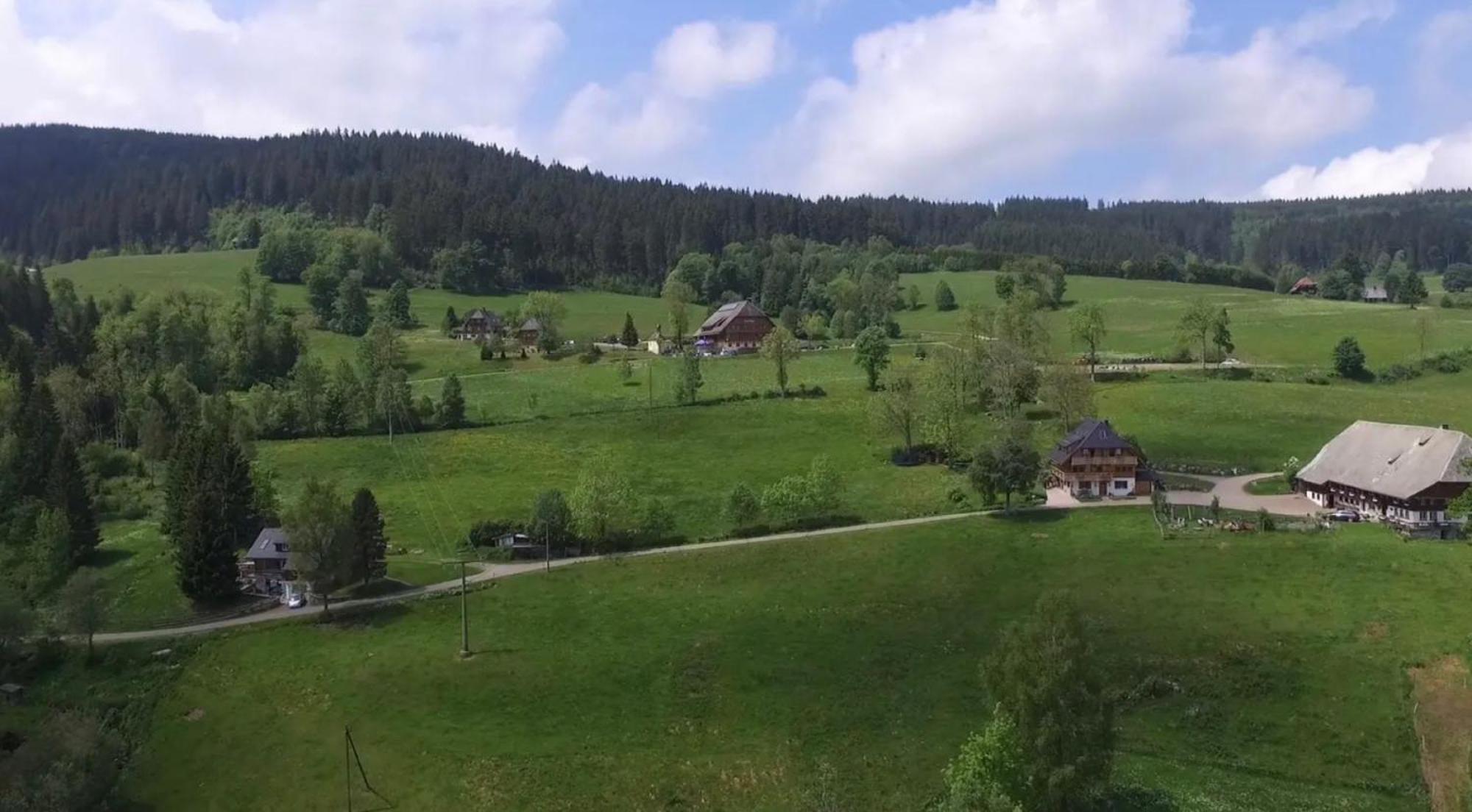 Ferienhaus Esche Hinterzarten Eksteriør bilde
