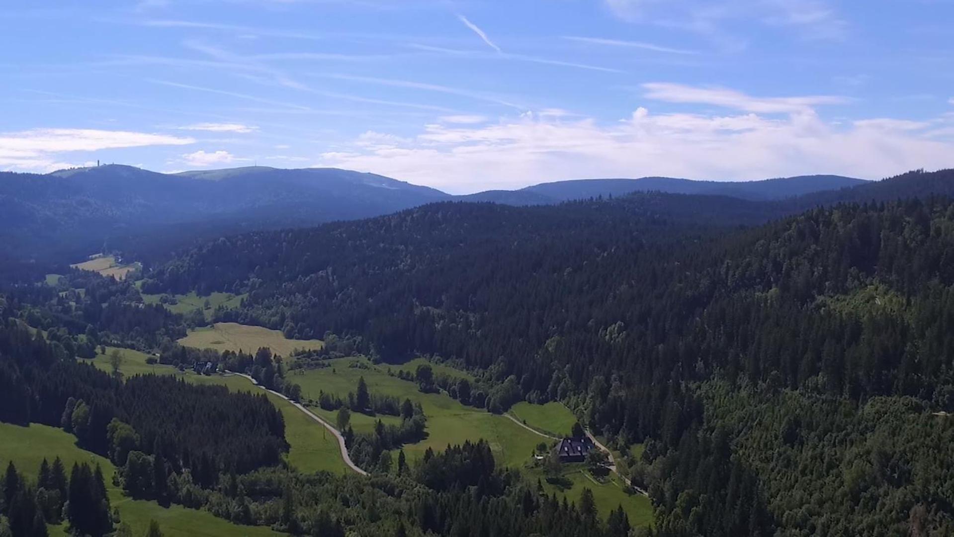 Ferienhaus Esche Hinterzarten Eksteriør bilde