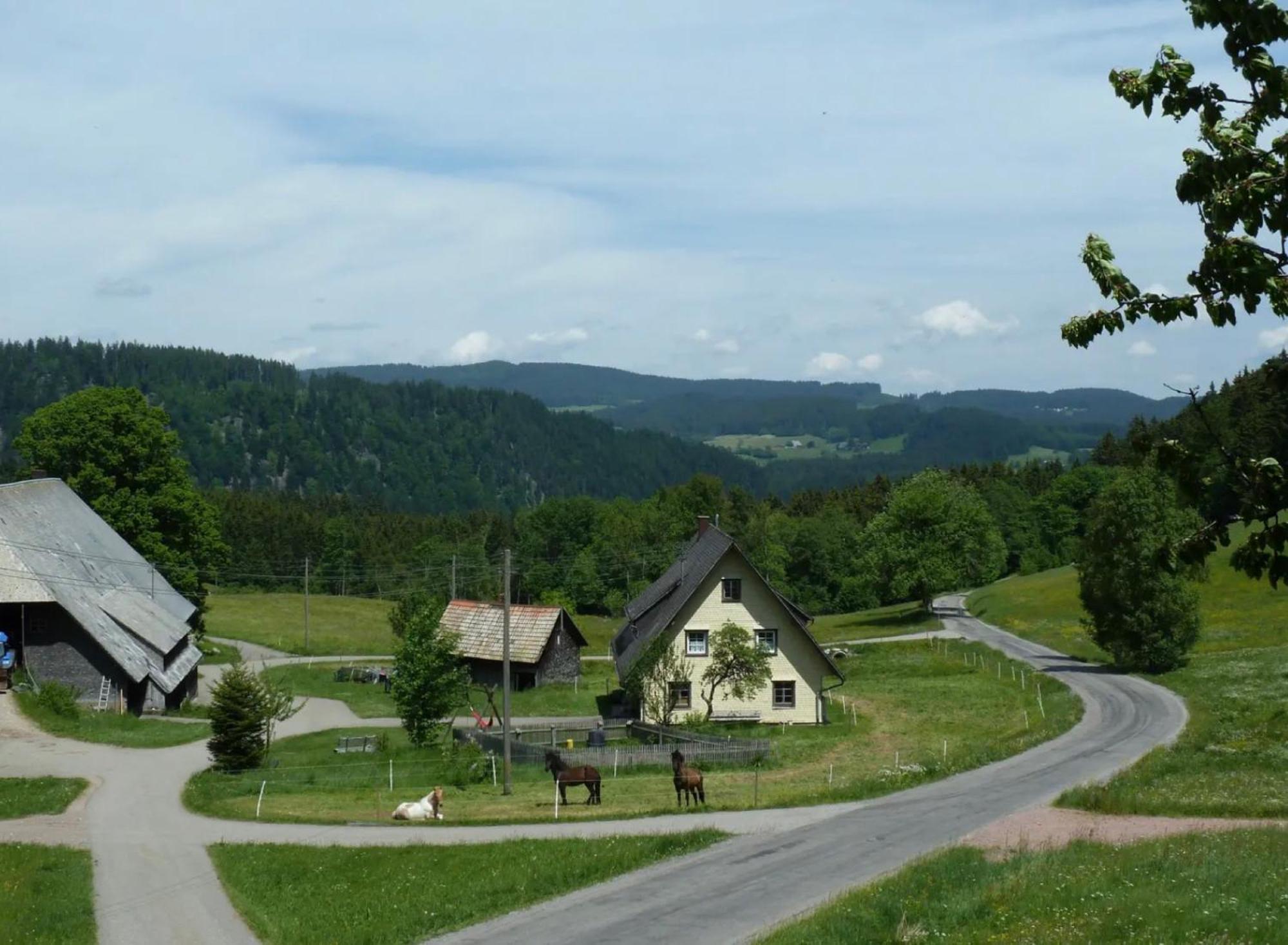 Ferienhaus Esche Hinterzarten Eksteriør bilde